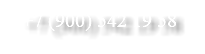 +7 (900) 542 19 58