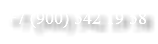 +7 (900) 542 19 58