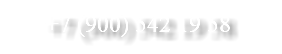 +7 (900) 542 19 58